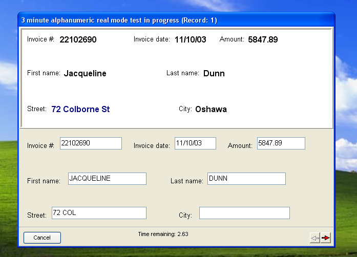 Data Entry Test 2004 Screenshot